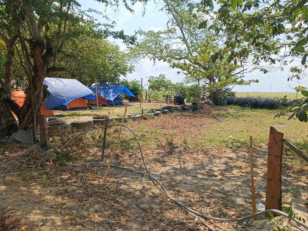 Příroda nedaleko luxury tent