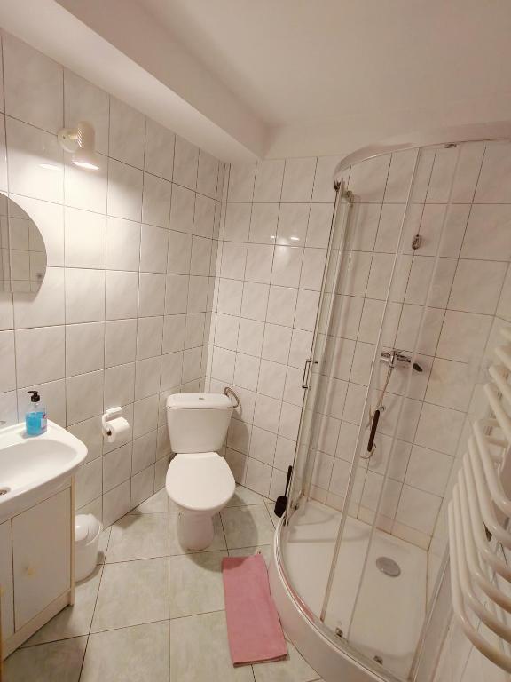 Zosienka - pokoje gościnne - 14