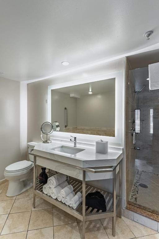 a bathroom with a sink and a toilet and a mirror at Crowne Plaza Orlando-Downtown by IHG in Orlando