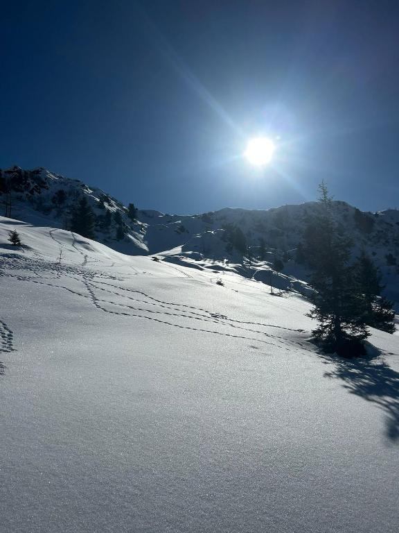 Der Paternwirt durante l'inverno