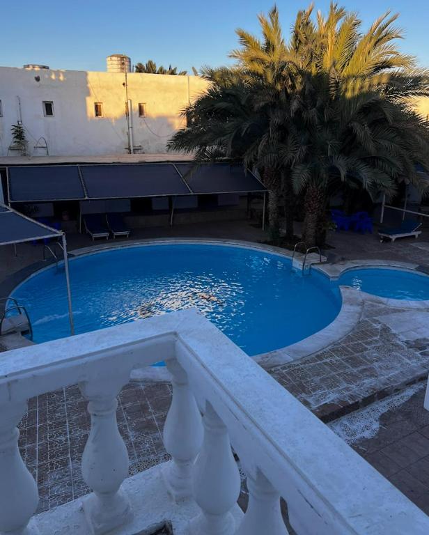 a swimming pool with a white railing and palm trees at Octopus Hotel in Dahab