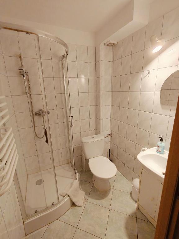 Zosienka - pokoje gościnne - 11