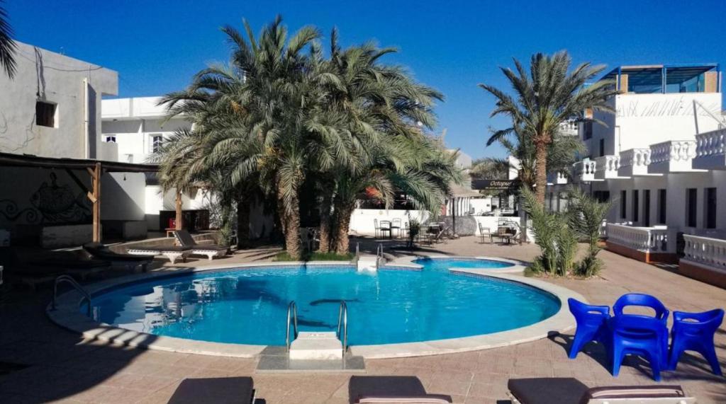 a swimming pool with blue chairs and palm trees at Octopus Hotel in Dahab