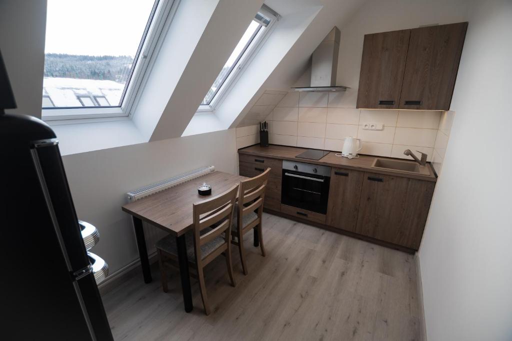 Kuchyň nebo kuchyňský kout v ubytování Apartmán Radvanička