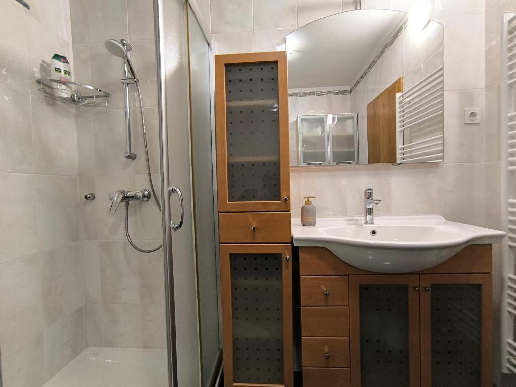 Koupelna v ubytování Apartma Sunside