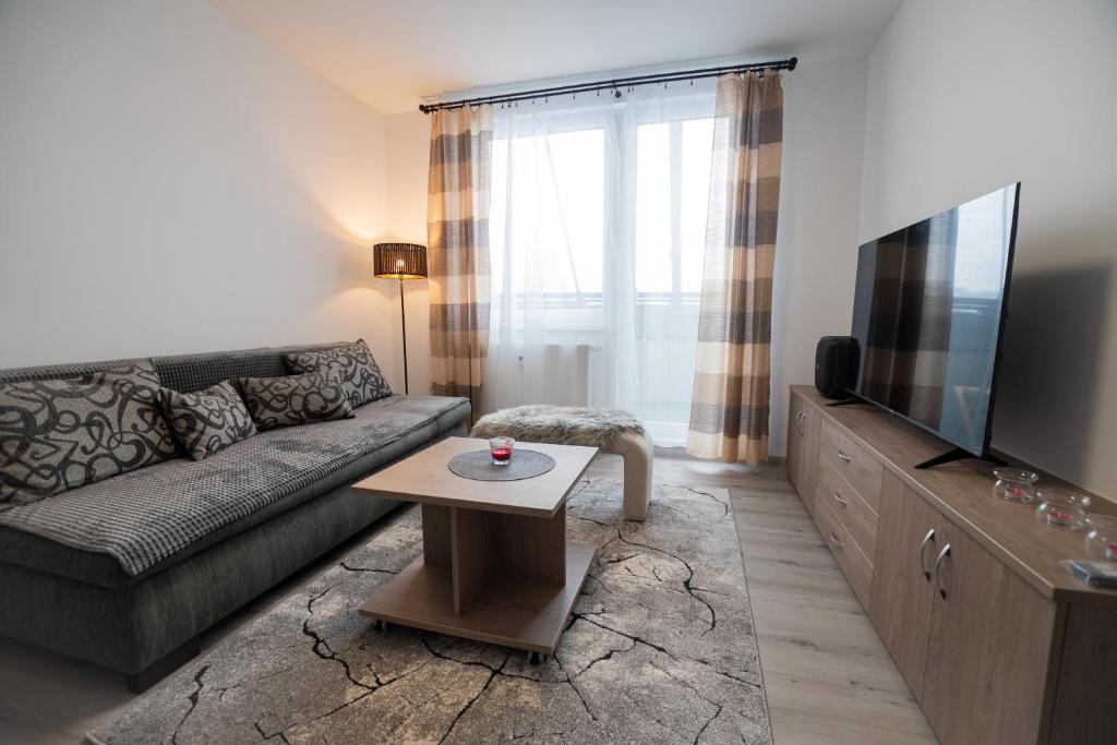 TV a/nebo společenská místnost v ubytování Apartmán Radvanička