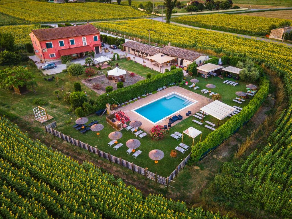 an aerial view of a estate with a pool in a vineyard at TORRE QUADRANA in Spello