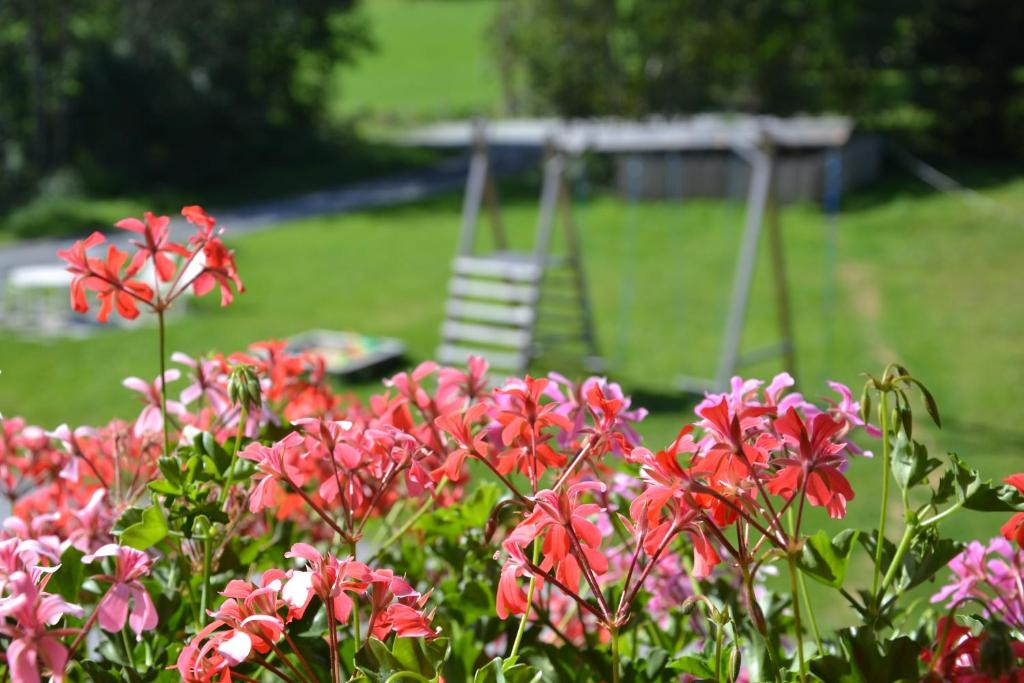 Vonkajšia záhrada v ubytovaní Holiday-Appartements