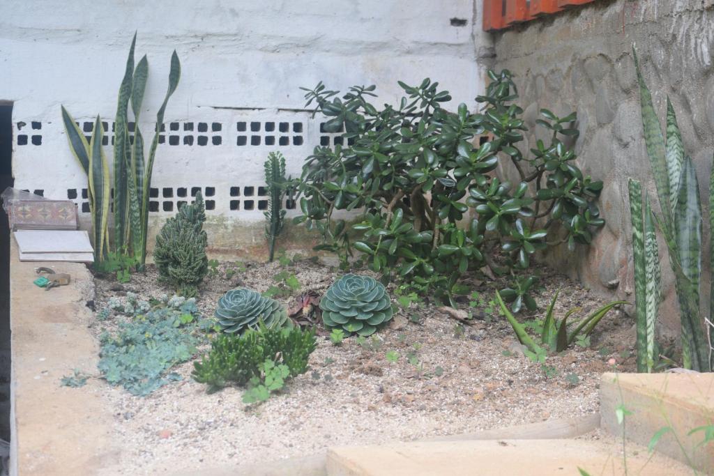 Zahrada ubytování Finca la soñada
