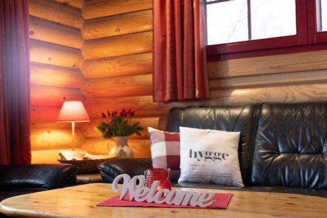 a living room with a leather couch and a table at HyggeZeit-im-Holzblockhaus-in-Wernigerode in Wernigerode