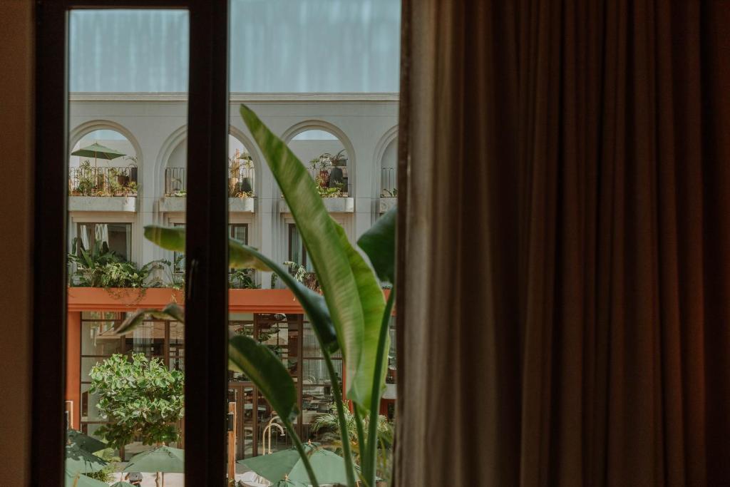 Een tuin van Osh Hotel Cartagena