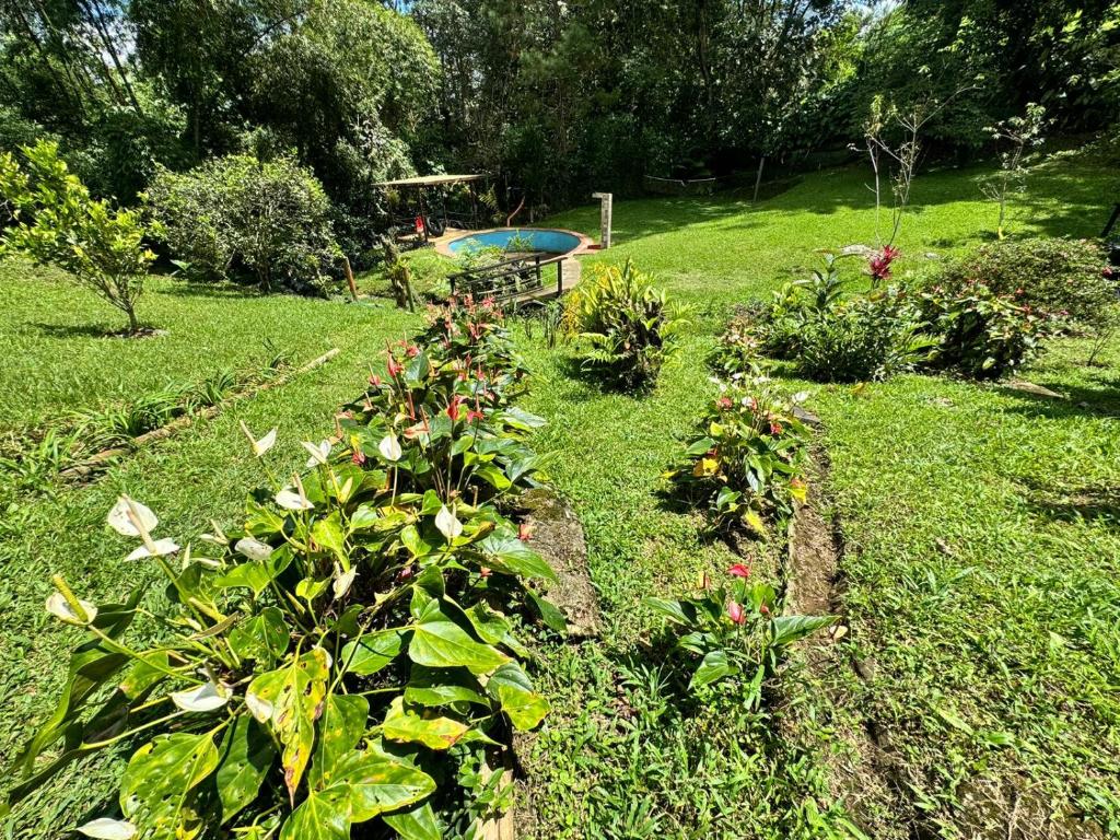 Zahrada ubytování Finca la soñada
