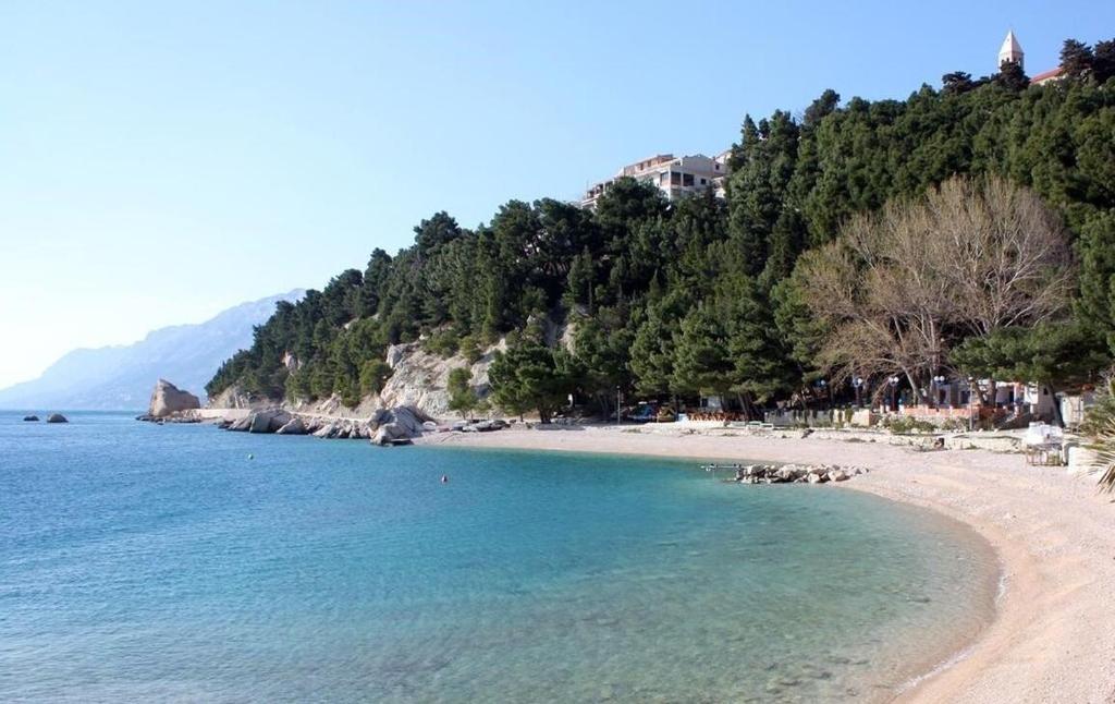Príroda v okolí apartmánu