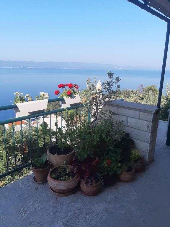 Príroda v okolí apartmánu