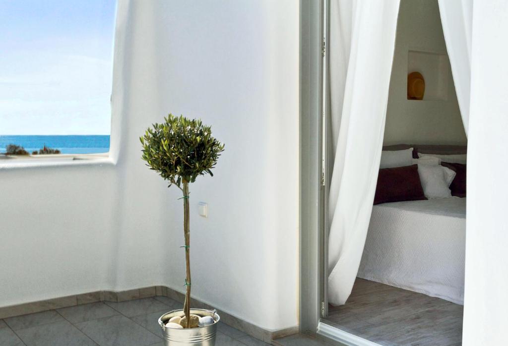 a potted tree in a room with a bedroom at Alia in Agios Prokopios