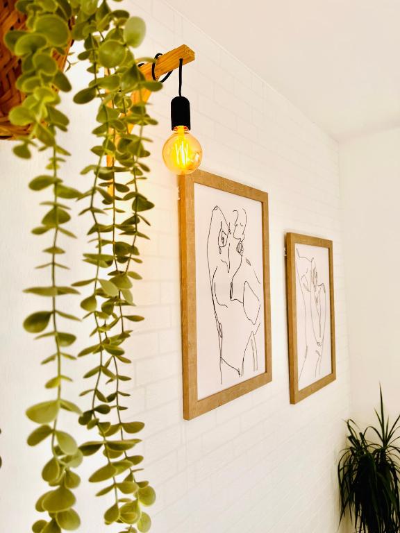 Apartamento Infantes 8 - CENTRO CIUDAD - 8