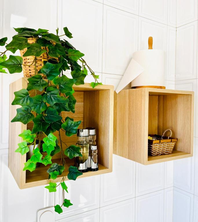 Apartamento Infantes 8 - CENTRO CIUDAD - 16