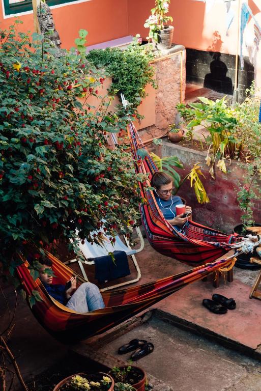 Hosté ubytování Backpacker La Bo'M