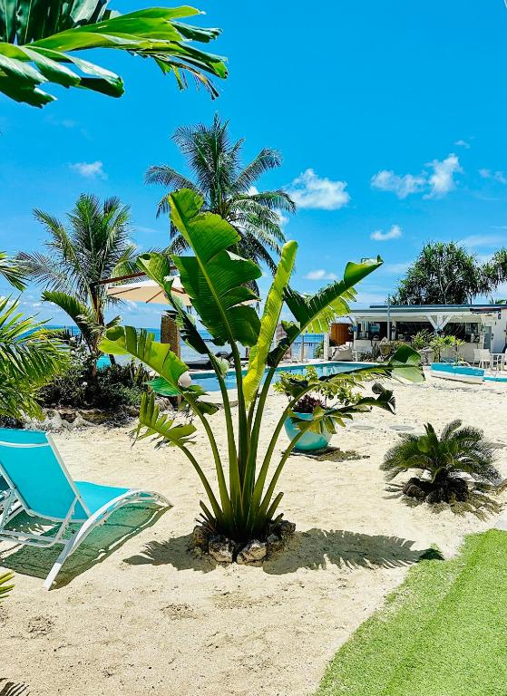 Bazén v ubytování Pension Irivai appartement "Uparu" 1 chambre bord de mer nebo v jeho okolí
