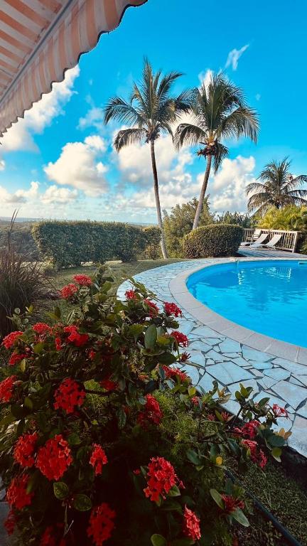 a resort with a swimming pool and palm trees and flowers at Résidence Belle Vue des îles in Sainte-Anne
