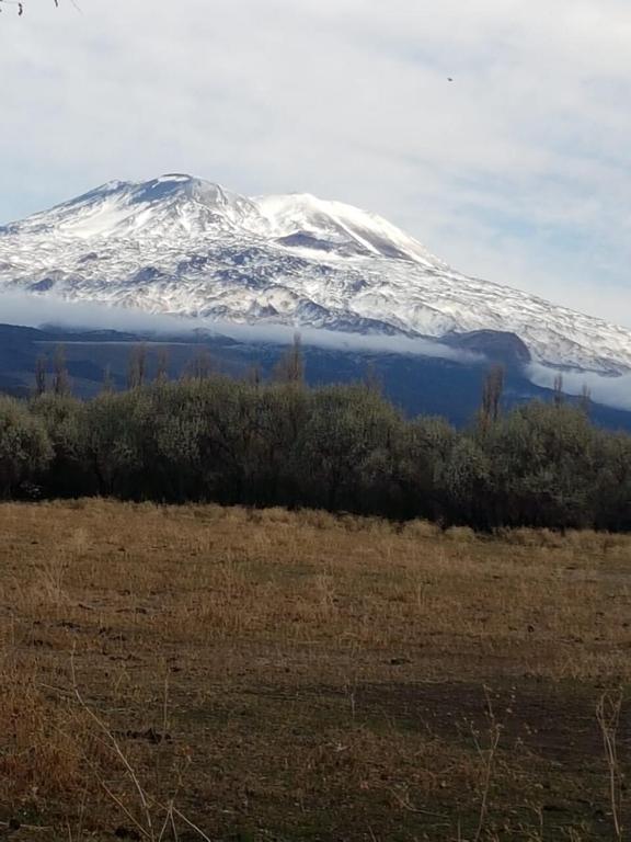 Cabaña La 40 "Relax y descanso en zona de chacras"