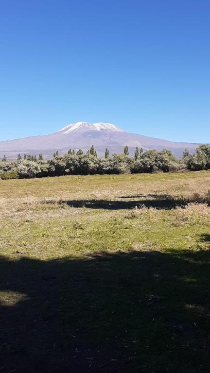 Cabaña La 40 "Relax y descanso en zona de chacras"