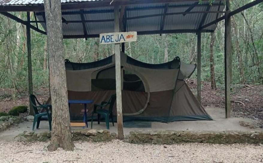 Fotografie z fotogalerie ubytování Campamento Yaax Che en Calakmul v destinaci Conhuas