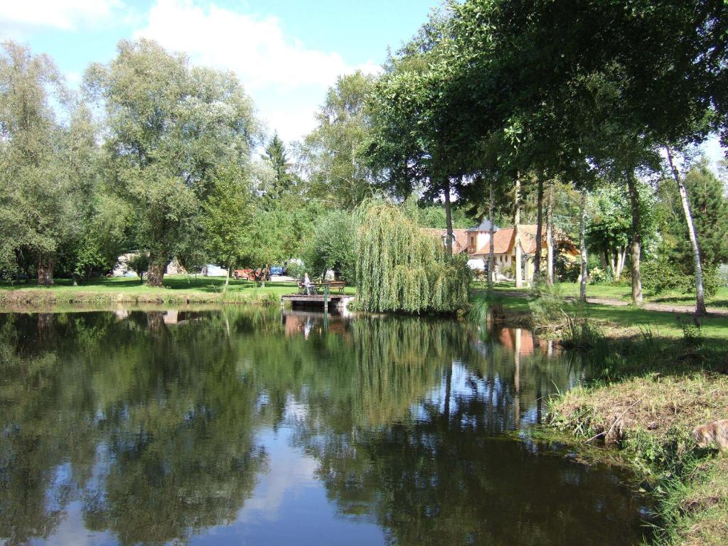 Příroda nedaleko bed and breakfast