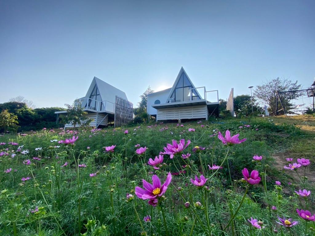 two houses on top of a field of flowers at Pak Himdoi Farm Homestay สวนผักฮิมดอยโฮมสเตย์ ฝาง in Ban Wiang Kok