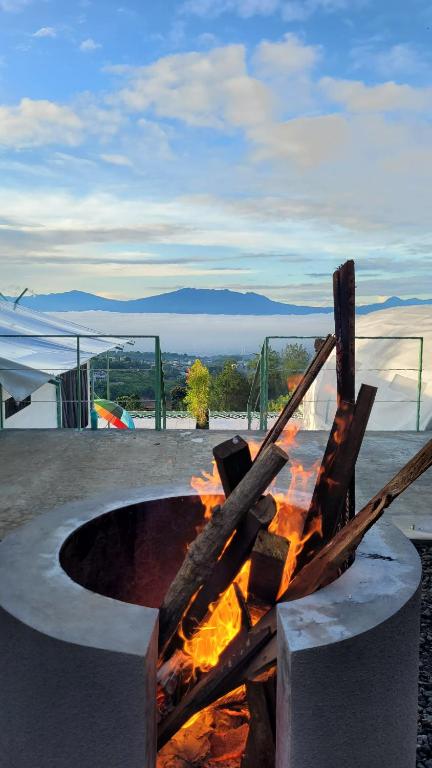 Příroda nedaleko luxury tent