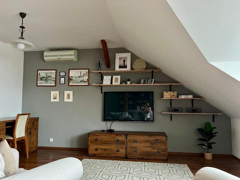 TV a/nebo společenská místnost v ubytování Apartmán Půda na jihu