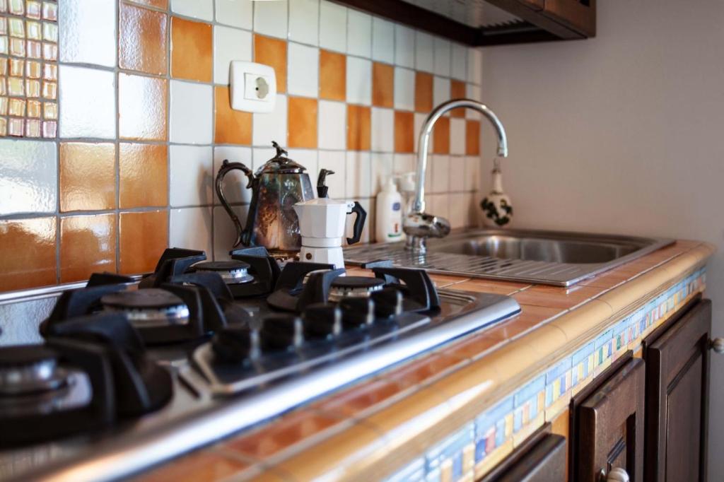 A kitchen or kitchenette at Audaces Resort