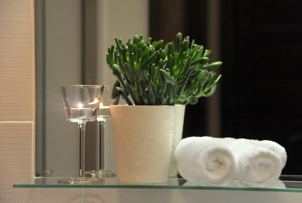 Koliba u Cerneho Medveda - 8