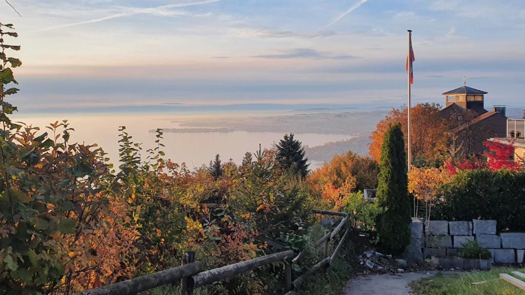 Příroda nedaleko apartmánu