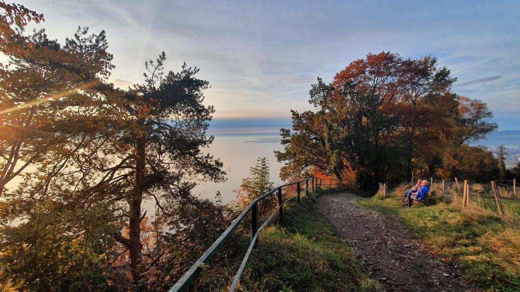 Příroda nedaleko apartmánu