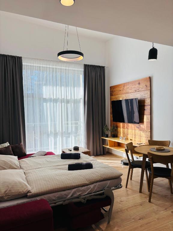 TV a/nebo společenská místnost v ubytování Evergreen Tále Apartments