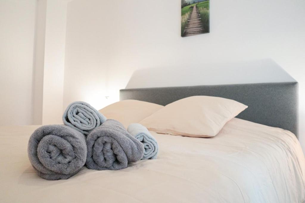 Duplex Harmonie proche frontière – photo 11