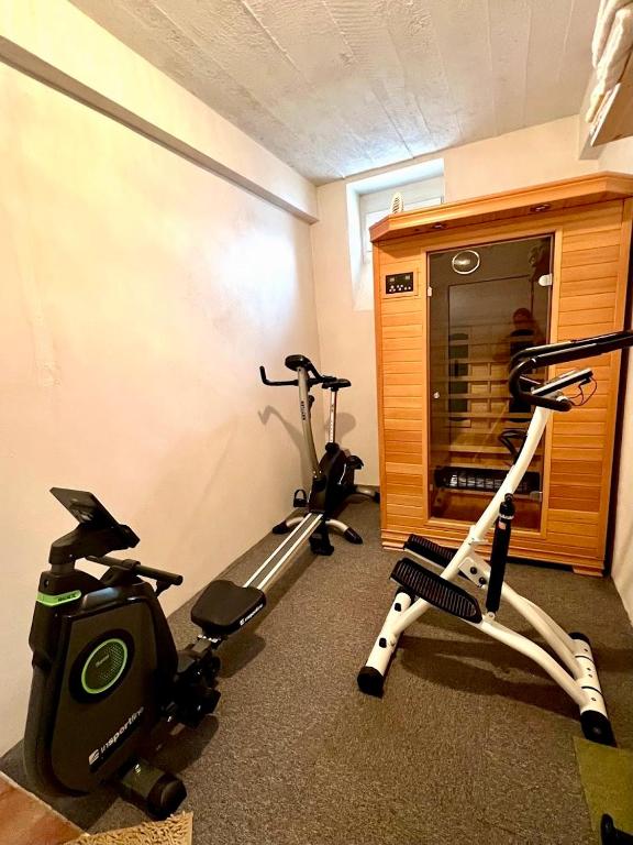 Fitness centrum a/nebo fitness zařízení v ubytování Apartmán Půda na jihu