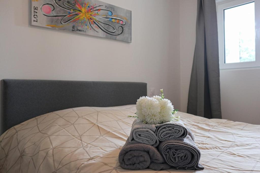 Plaisir partagé Apartment – photo 11