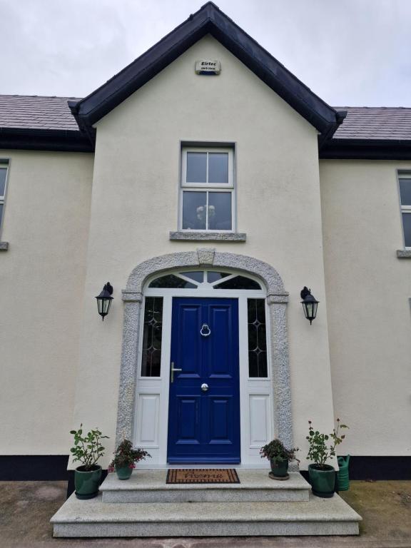 Exteriér nebo vchod ubytování Silvi's Guest House Borris Carlow