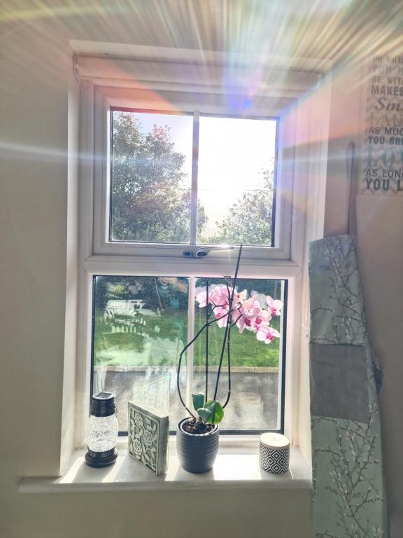 Zahrada ubytování Silvi's Guest House Borris Carlow