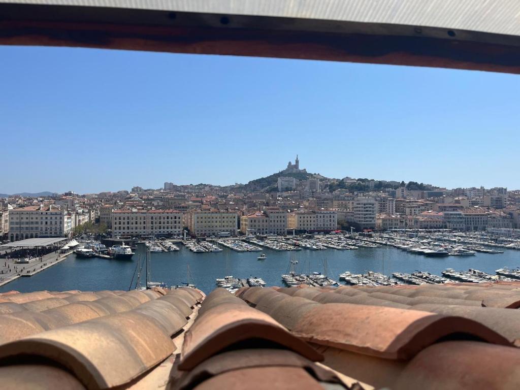une vue d'un port avec des bateaux dans l'eau dans l'établissement La Petite Lucarne - appartement neuf sur le Vieux-Port - centre ville - proche du Panier, Mairie et Canebière, à Marseille