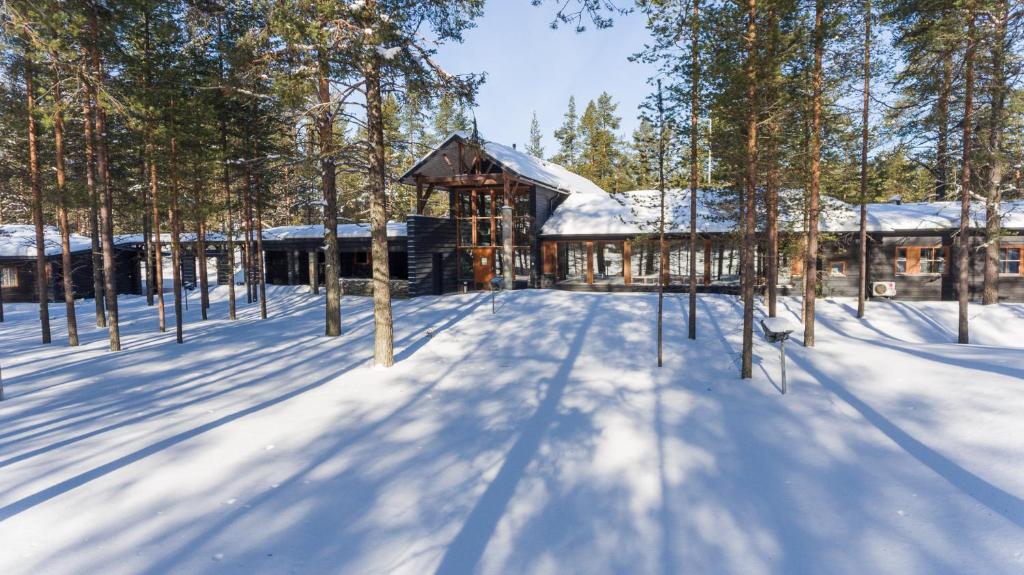 Luxury Villa Petäjälinna om vinteren