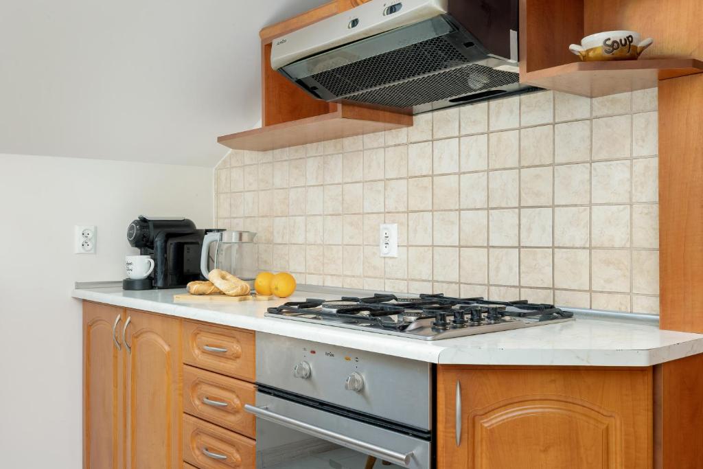 Kuchyňa alebo kuchynka v ubytovaní Sunshine apartment