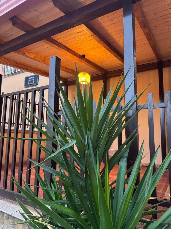 Balkón nebo terasa v ubytování Integra apartments