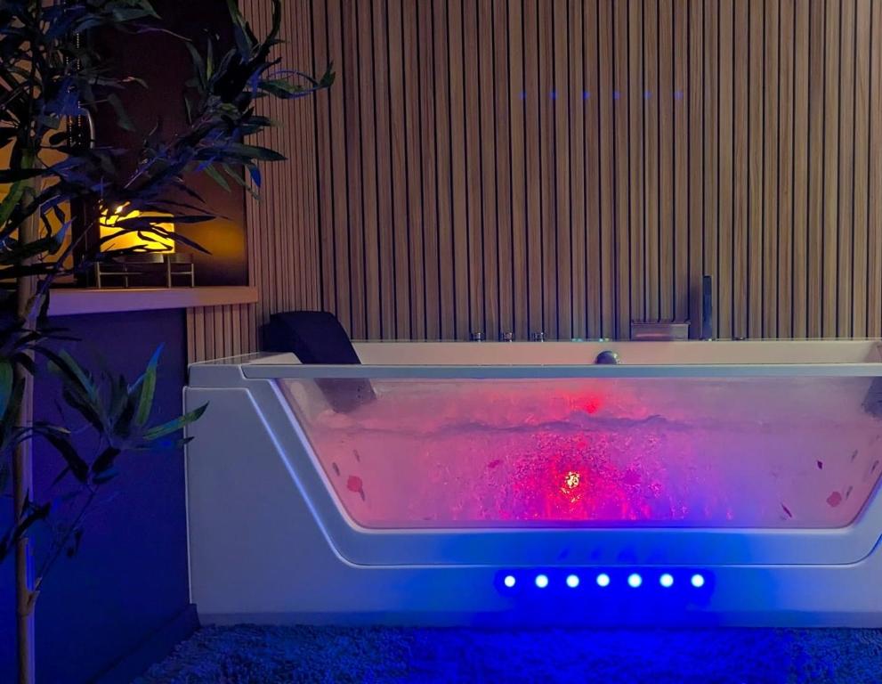 Gallery image of Le Cocon - Love & Spa in Cébazat