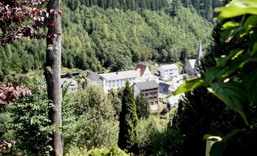 una pequeña ciudad en las montañas con casas y árboles en Gasthof Rodachtal mit Gästehaus Katharina, en Schwarzenbach am Wald