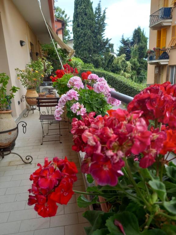 a bunch of red and pink flowers on a patio at Il Balcone di Anna - Nervi - 65mq Bilocale in Genoa