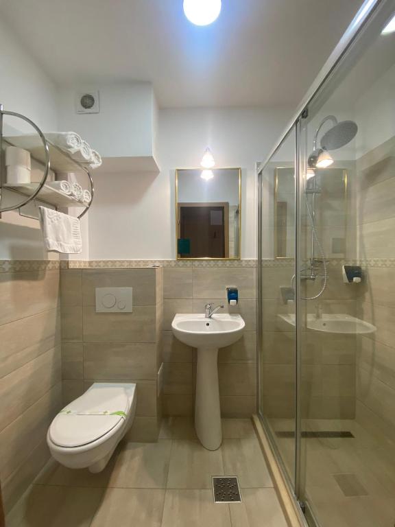 Hotel Gallant Sibiu - Resim 8