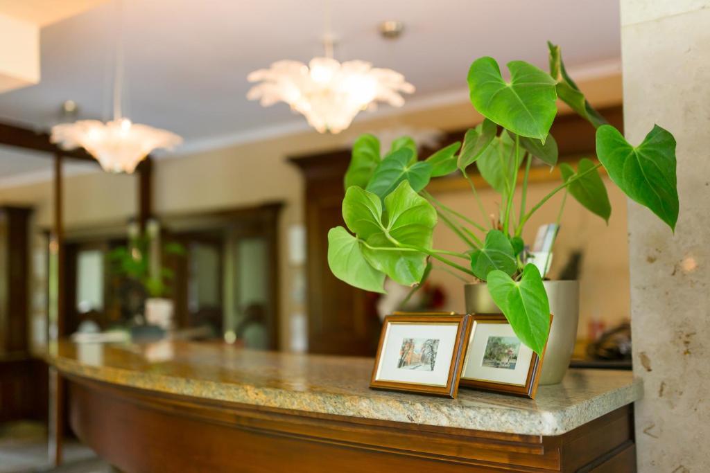 Kép Hotel Gottwald szállásáról Tatán a galériában